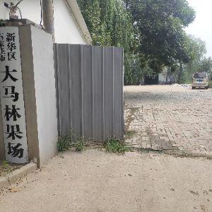 石家庄市新华区大马林果场