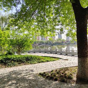 石家庄川页信息技术有限公司